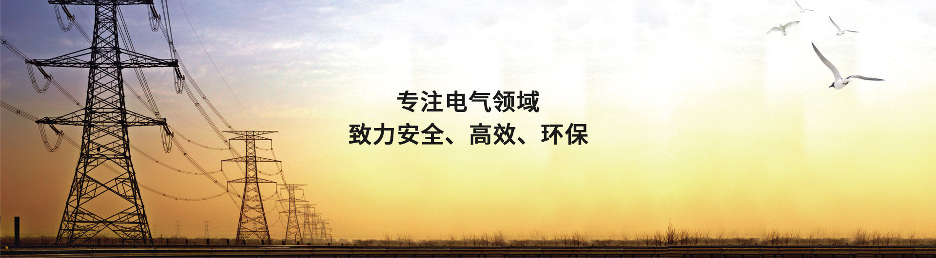 海飛特,15年中高端喂料機實力品牌